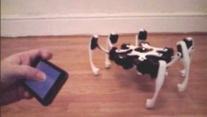 iPhone-Controlled-Hexapod