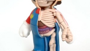 super mario anatomy artwork image