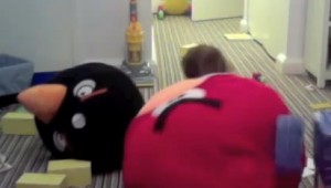 Angry Birds Toys in Action
