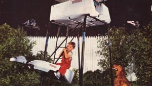 Jungle Gym 5