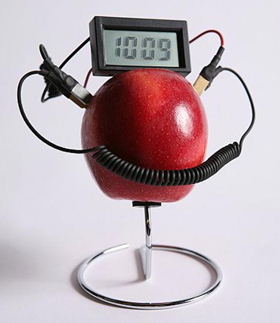 Fruit Powered Clock 2