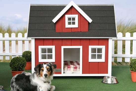 Luxurious_Doghouses_19