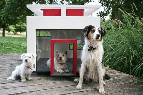 Luxurious_Doghouses_2