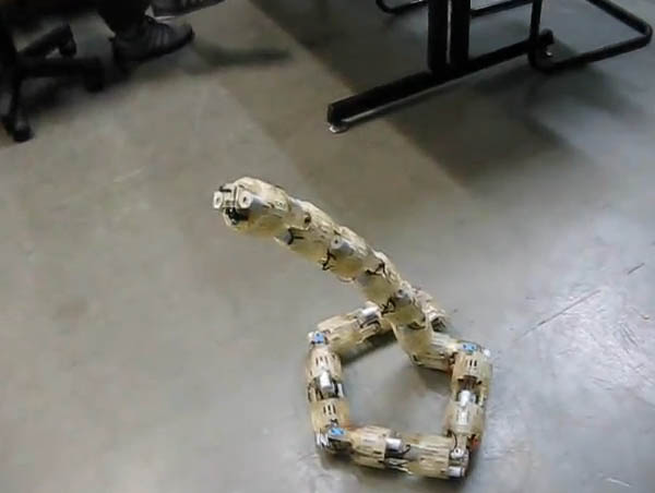 3-D Printed Robotic Snake 2