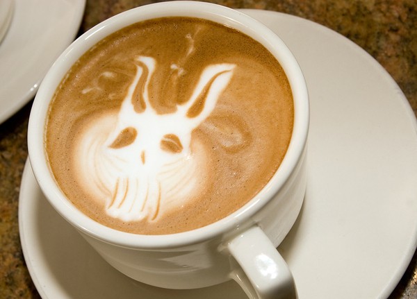 latte art frank from donnie darko