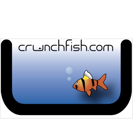 active 3d tech crunchfish nexus s