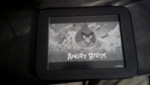 angrybird