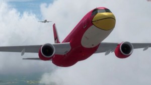 Angry Birds Aircraft 1
