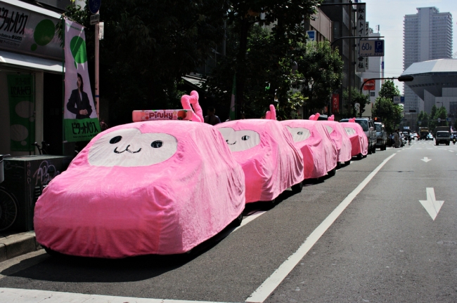 Pinky Cat Car Cover