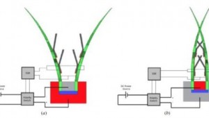 robot venus fly trap schematic