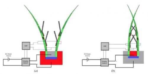 robot venus fly trap schematic
