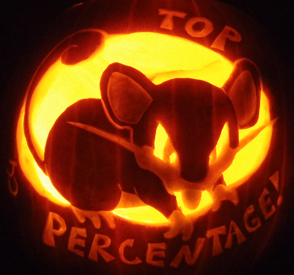 top_percentage_rattata_pumpkin