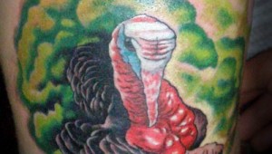 Turkey Stare