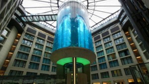 Hotel-aquarium-2