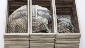 Money Skull