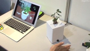 Interactive Plant showing emotions
