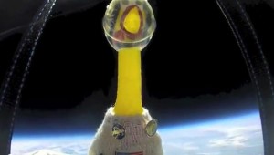 rubber chicken in space