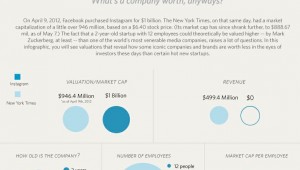 company value infographic