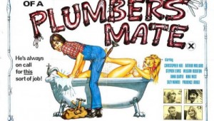 Adventures of a plumbers mate