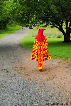 Journey costume 2 - picture by Ollie and Corey