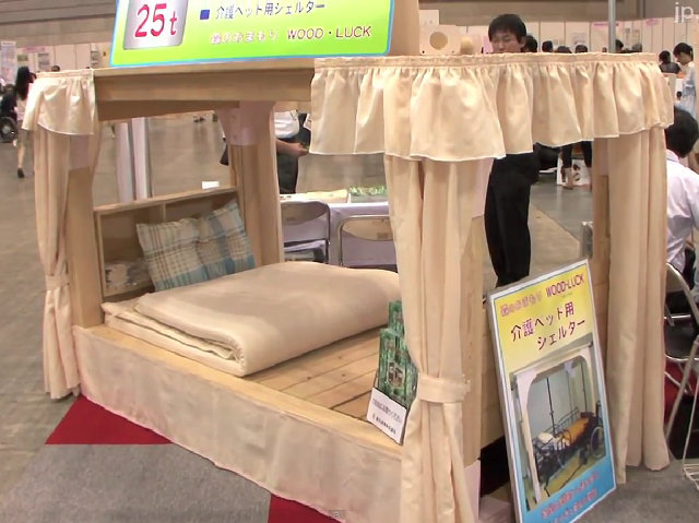 earthquake-proof-bed