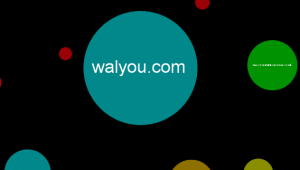 Internet map