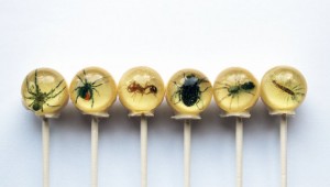 Spider Lollipops