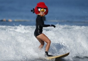 An Angry Bird