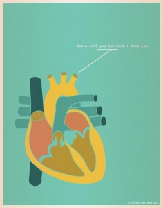 Aorta