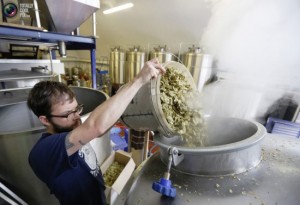 brewing