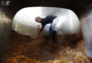 cleaning malt