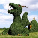 Dragon Topiary