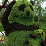 Panda Topiary