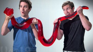 gummy-python-1