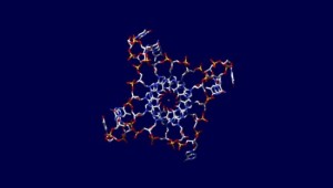 Four DNA Strands