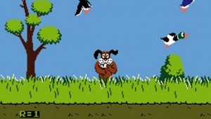 Duck Hunt II