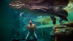 Crocosaurus Cove Pool