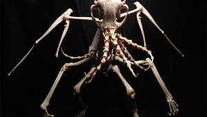 bones-cthulhu-1