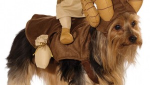 star-wars-dog-costumes-1