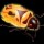 Enjoy Live Updates with Firebug