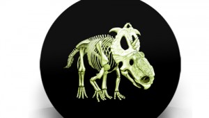 Dinosaur Coin