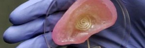 3-D Ear