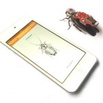 RoboCoach Smartphone App Insect Cyborg