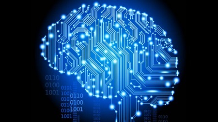 IBM Human Brain image