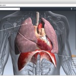 BioDigital Human 3D Virtual Anatomy