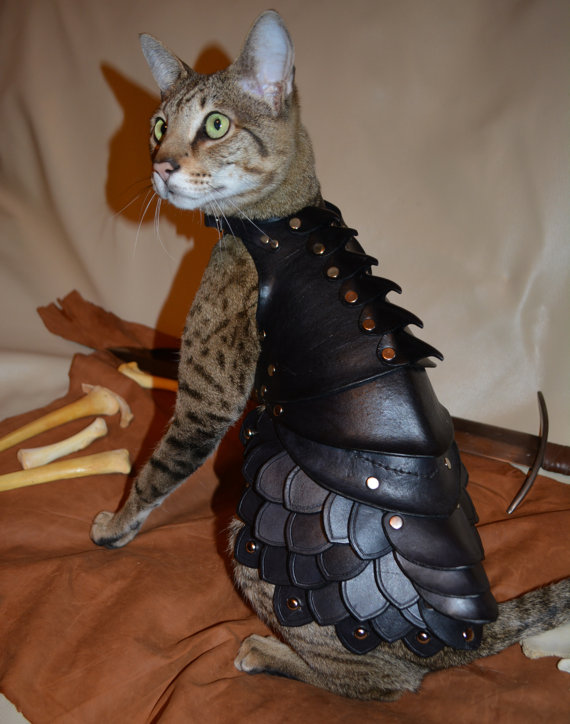 cat-armor-1
