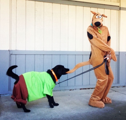 Shaggy & Scooby