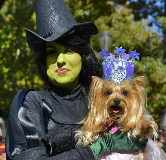 The Wicked Witch & Glinda