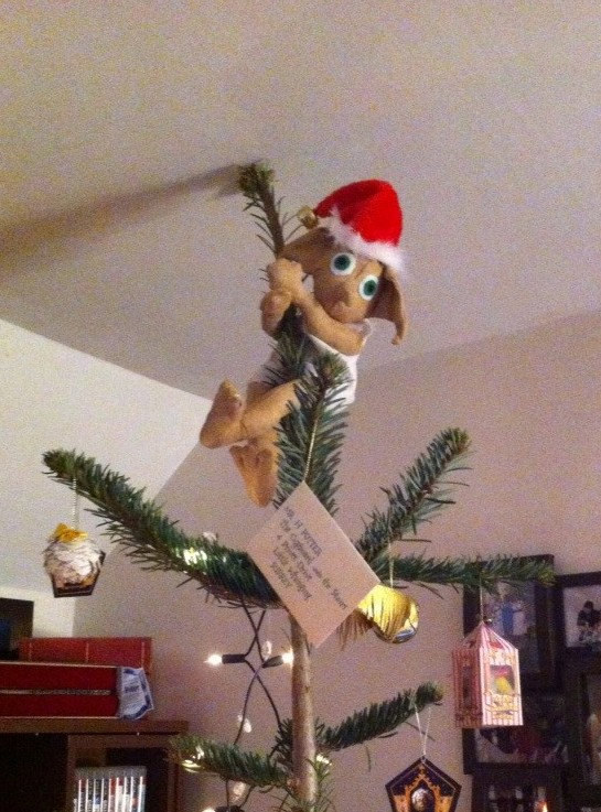 Dobby on top of a tree