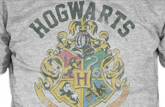 Harry Potter shirt